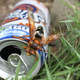 Illustration for article titled Shooting Challenge: Bugs 2